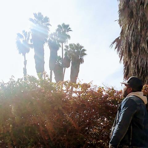 Ancestors Calling