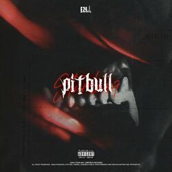 Pitbull