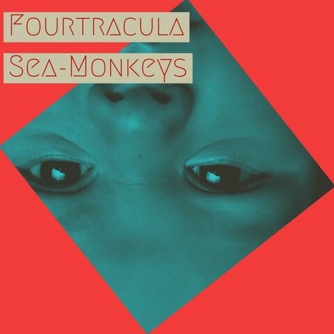 Sea-Monkeys