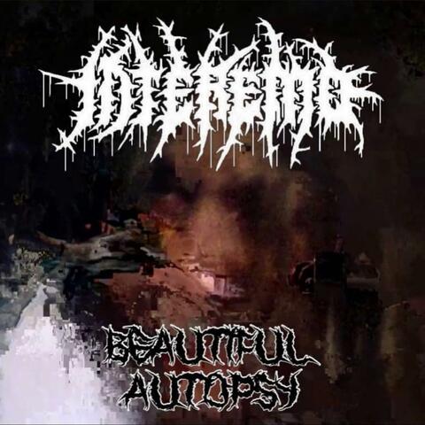 Beautiful Autopsy (Demo)