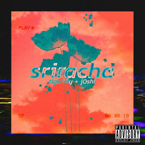 sriracha (feat. j0sh!)