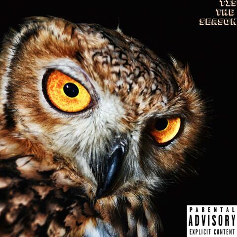 TIS THE SEASON, Vol. 1 (Demo)