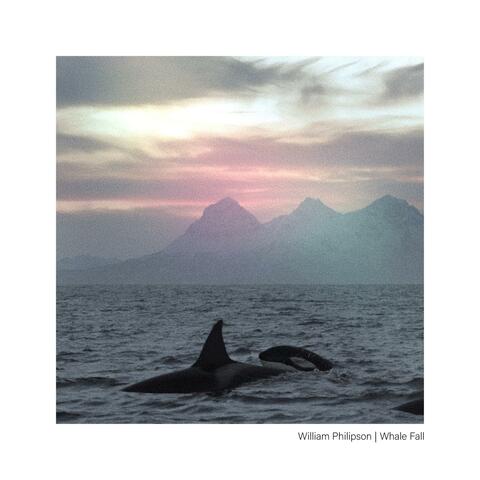 Whale Fall