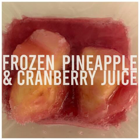 Frozen Pineapple & Cranberry Juice