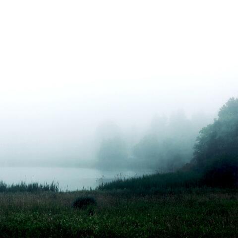 Sliver