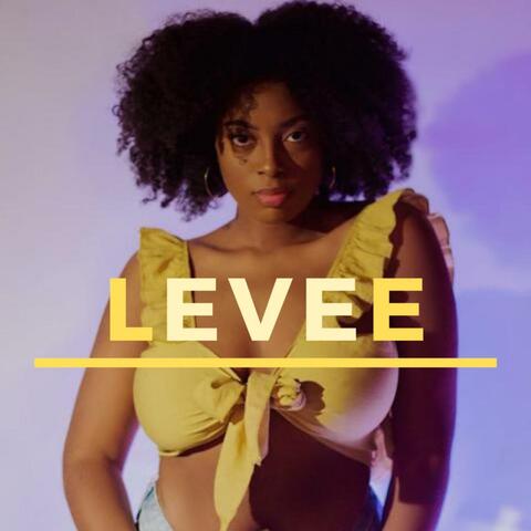 Levee
