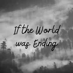 If the World was Ending