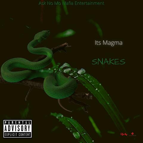 Snakes