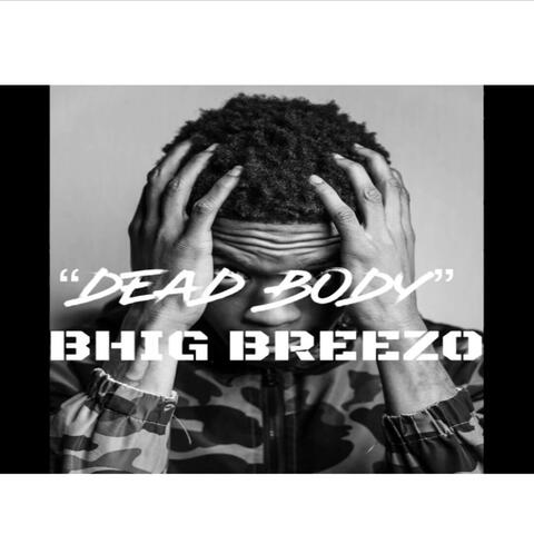 RealBreezo2x