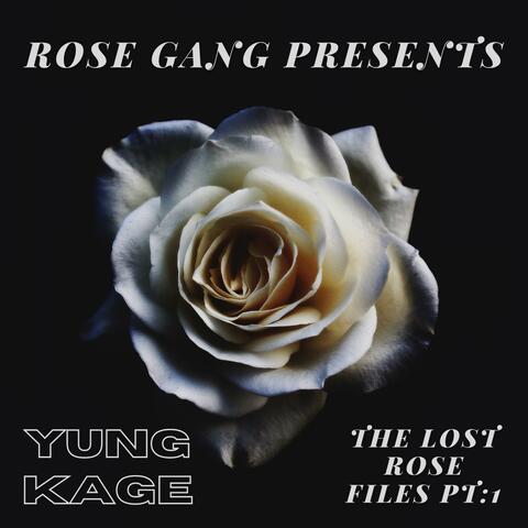 The Lost Rose Files Pt. 1
