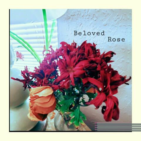 Beloved Rose