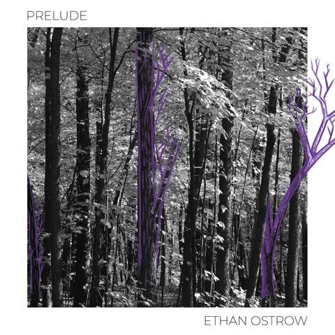 Prelude