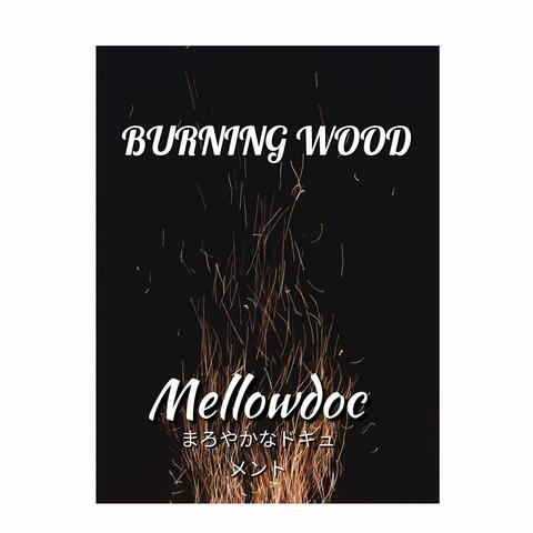 Burning Wood