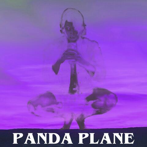 Panda Plane