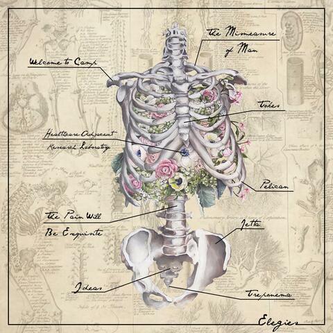 Elegies