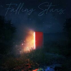 Falling Stars (feat. Shamsher Rana) (Rework Version)