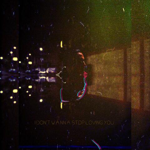 I Don't Wanna Stop loving you