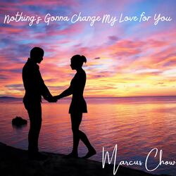 Nothing's Gonna Change My Love for You