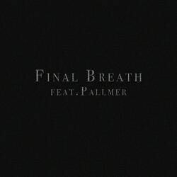 Final Breath (feat. Pallmer)