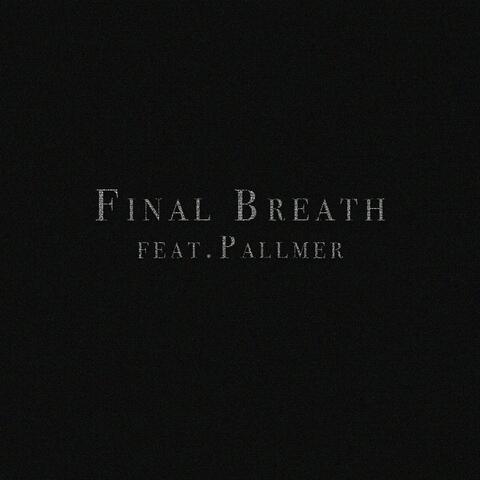 Final Breath (feat. Pallmer)