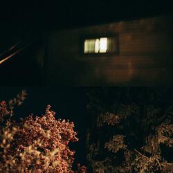 Beside the Houses