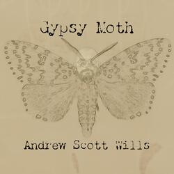 Gypsy Moth