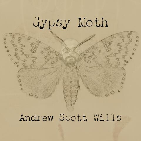 Gypsy Moth