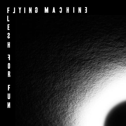Flesh For Fun