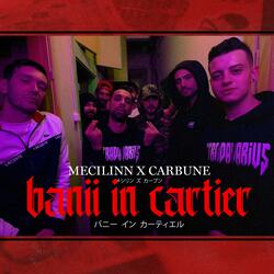 Banii in cartier (feat. Mecilinn & Carbune)