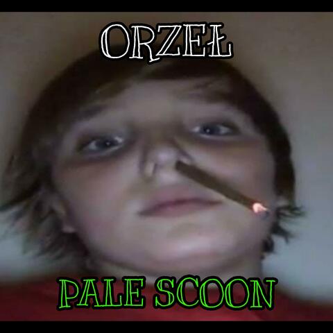 PALE SCOON