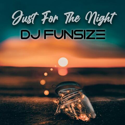 Just for the Night (feat. Grayson Ty)