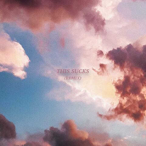 this sucks (feat. Aleena)