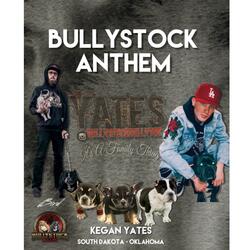Bullystock Anthem
