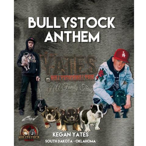Bullystock Anthem