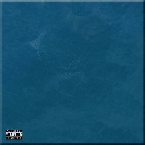TOO BAD (feat. Guapdad 4000)