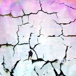 Any Future Anxieties You May Have