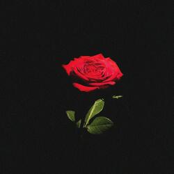 Rosy