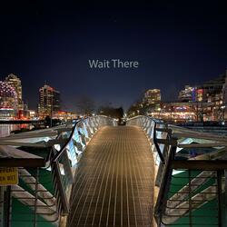 Wait There
