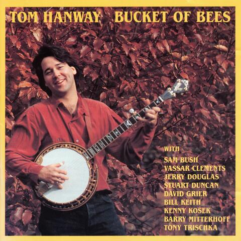 Bucket of Bees
