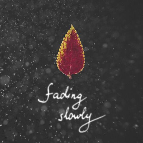 Fading Slowly