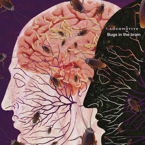 Bugs In The Brain