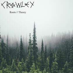 Theory