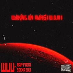 WOM (feat. Rap Fada & Sokka SDW)