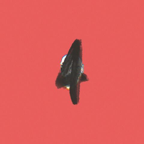 The Roof