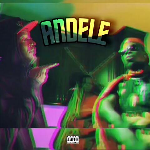 Andele