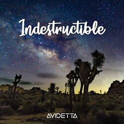 INDESTRUCTIBLE