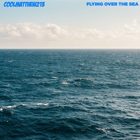 Flying Over the Sea