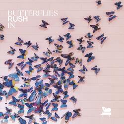 Butterflies Rush In