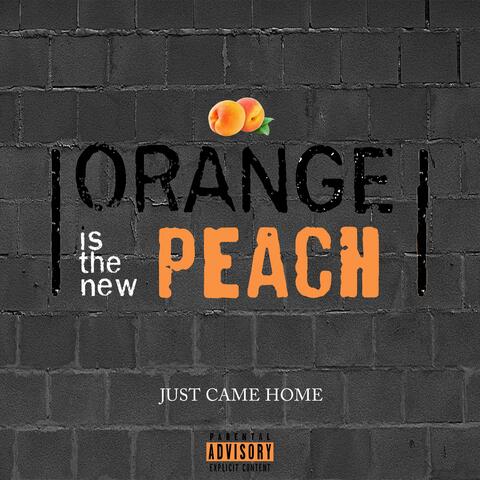 Just Came Home