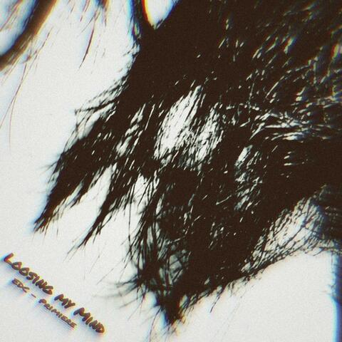 Losing My Mind